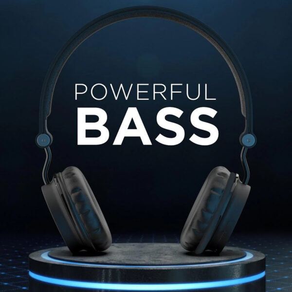 boAt Bassheads 100  -