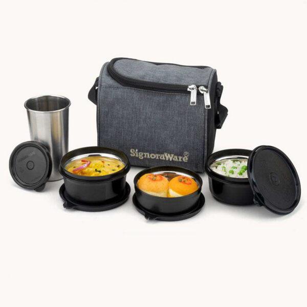 Signoraware_Monarch Best Steel Lunch Box